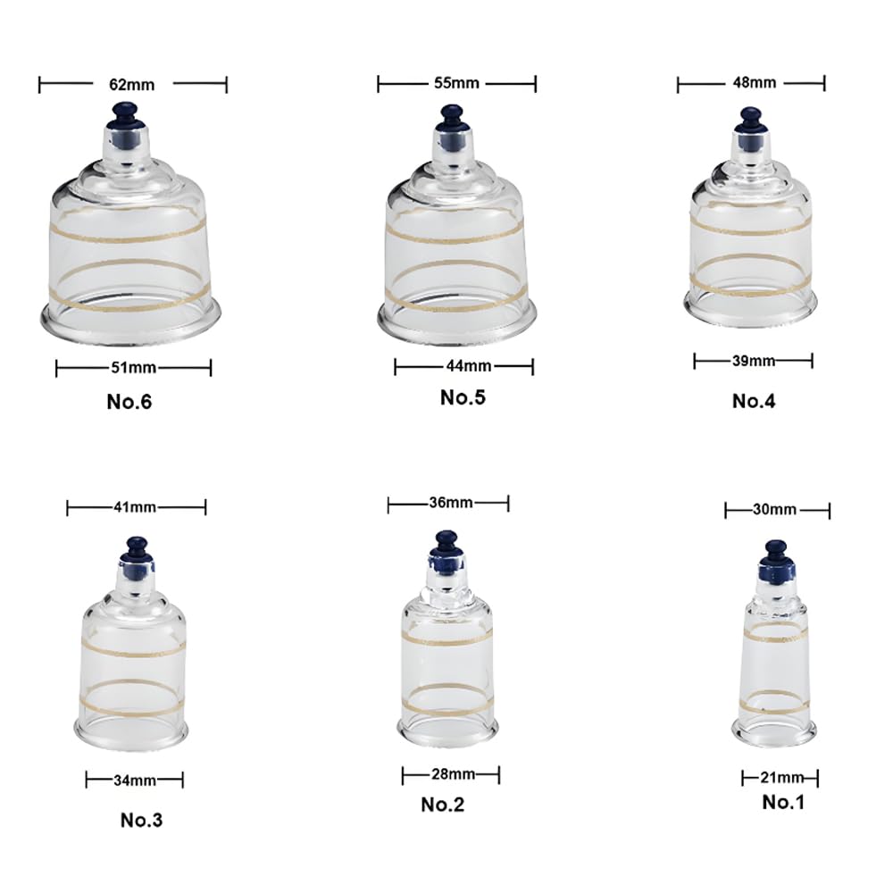 Set per Coppettazione Sottovuoto, 17 Coppette Portatili E Valigia in Alluminio, Coppettatrice per Vetro con Pompa, Coppettazione Cinese, per Alleviare Il Mal di Schiena