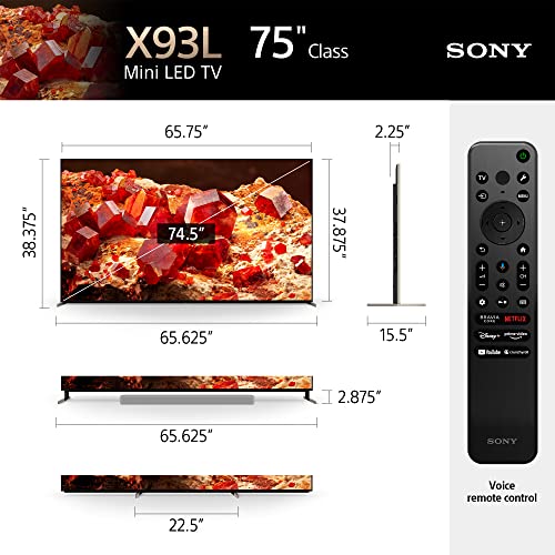 Sony 100 inch Bravia XR TV