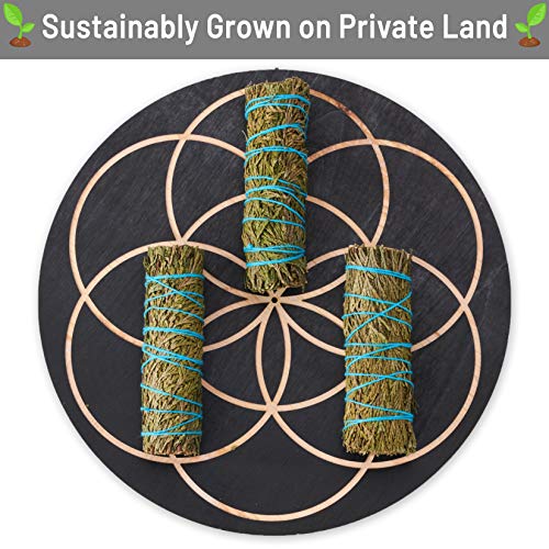 JL Local 6 Cedar Sage Bundles 4 Inch | Sage Smudge Sticks for Smoke Cleansing, Smudging & Home Cleansing | Sage Smudge Kit… - Thumbnail 3