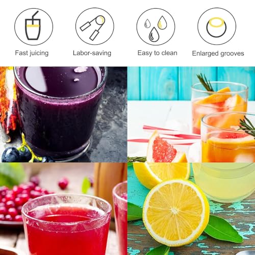 Lot de 4 Inox Presse Citron Manuel Presse Tranche Citron Manuel Lemon Squeezer Presse Agrumes à Levier Manuels de Cuisine pour PastèQue Citron PêChe – Image 6