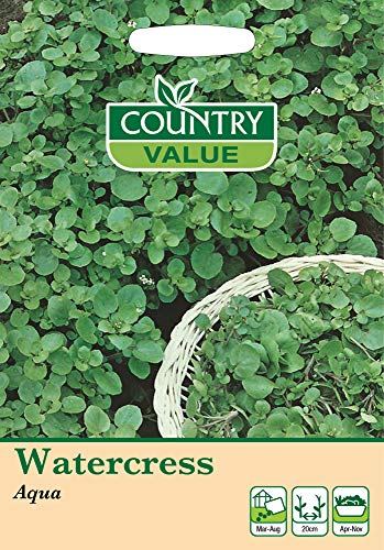 Watercress Seeds 'Aqua' by Country Value