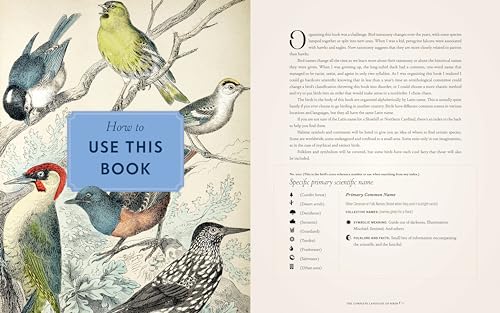 Image of The Complete Language of Birds: A Definitive and Illustrated History (Complete Illustrated Encyclopedia, 13)