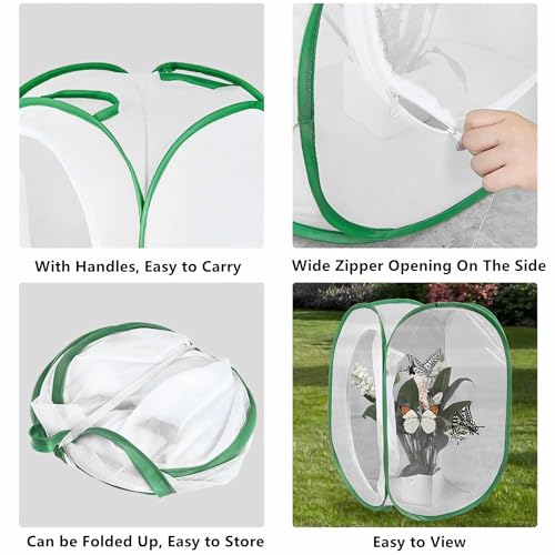 Pflanze Insektennetz Schmetterling Haustierkäfig Sämling Licht Inkubator Faltbare Insektenkäfig Faltbare Belüftete Lichtdurchlässigkeit Mesh Käfig Reißverschluss Pflanze Haus 60 * 60 * 90 cm