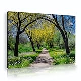 春の庭並木道キャンバスウォールアート緑の木々の花風景キャンバスプリントリビングルーム寝室廊下の壁の装飾50x70cmインナーフレーム