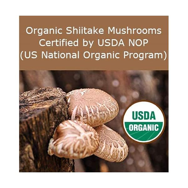 Organic Korean Shiitake Mushroom Powder [ USDA Certified ] All Natural