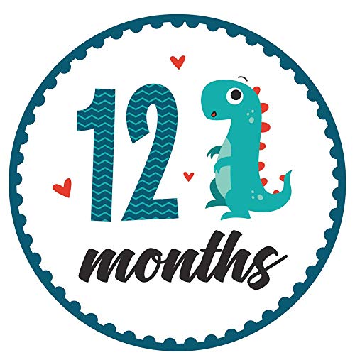 Baby Monthly Milestone Onesie Stickers By Harperlynn (16 Stickers - Dinosaur) - Newborn Photo Prop For Pictures - Great Gift For Parents Of Happy Infant Boy Or Girl - 4" Round- Fits Memory Planners #TOP4