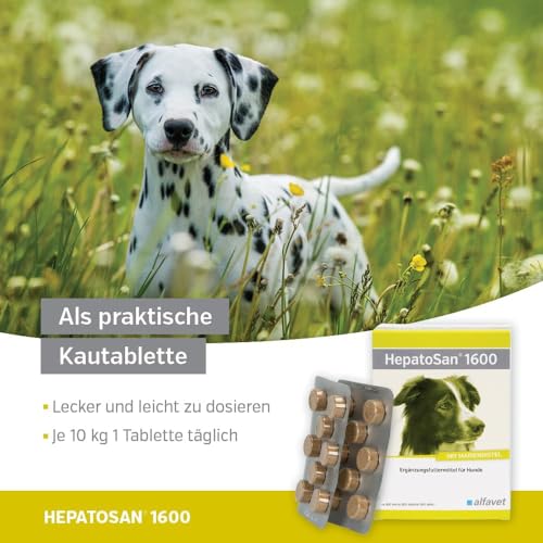Alfavet HepatoSan 1600, unterstützt den Leberstoffwechsel, Nahrungsergänzung für Hunde, 32 Tabletten à 1600mg