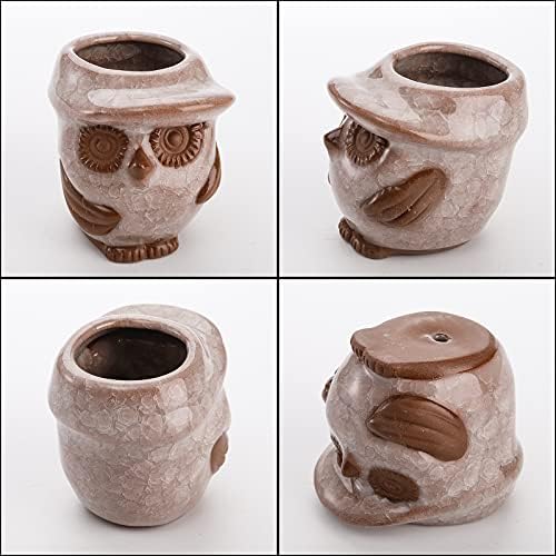 Dicunoy 6 Pack Small Ceramic Succulent Planter, 8cm Handmade Porcelain Mini Owl Pots for Plants, Flowers, Cactus, Gift (Plants not Included)