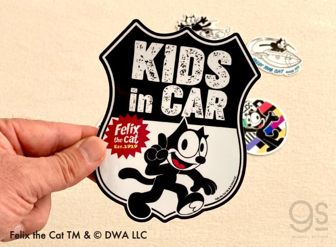 Amazon.co.jp: FELIX 車用ステッカー ドラレコ録画中セット