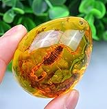 EatingBiting Resin Amber Insect Pendant Scorpion Fossil Stone Crystal Home Decoration Samples Stones Specimens Home Decorations Collection Oval