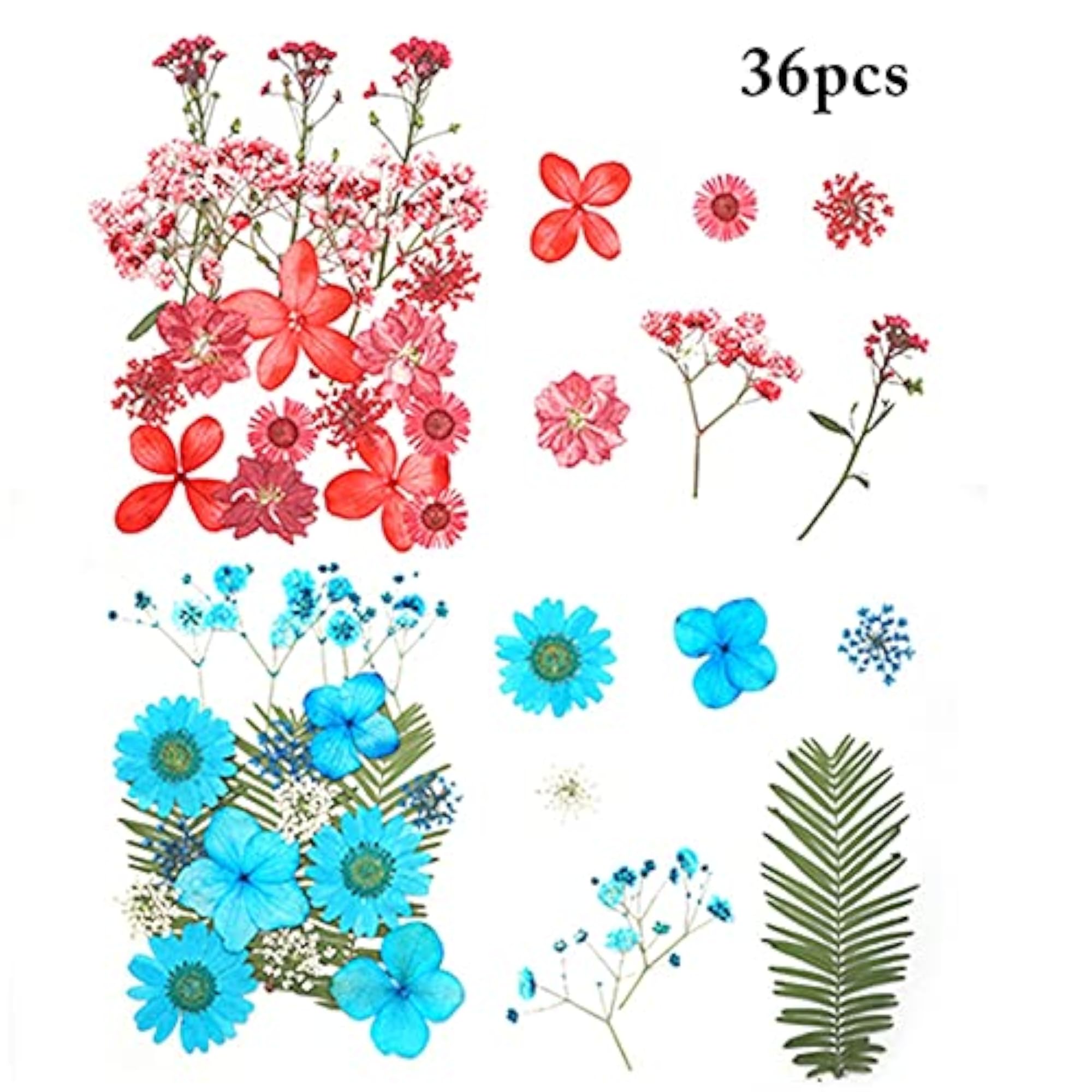 Real Dried Flower Set for Jewelry Making & Crafts