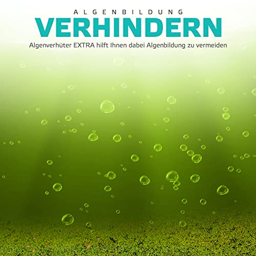 Algenvernichter für Pools von well2wellness, 3 Liter
