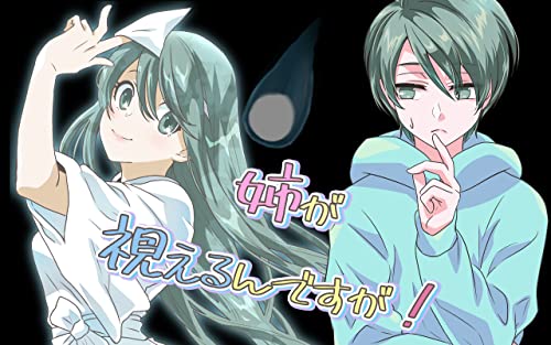 『2霊目 姉が視えるんですが!』