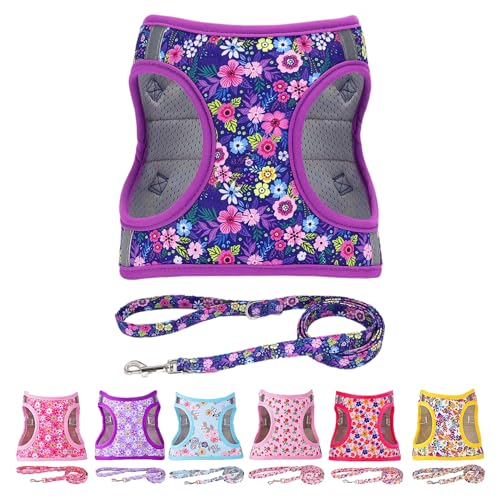 Moonpet Step in Dog Harness Leash Set- All Weather Reflective No-Pull Floral Pattern Padded Mesh Vest Harness for Cats Puppy Extra-Small Small Medium Large Dogs - Dark Flower - S