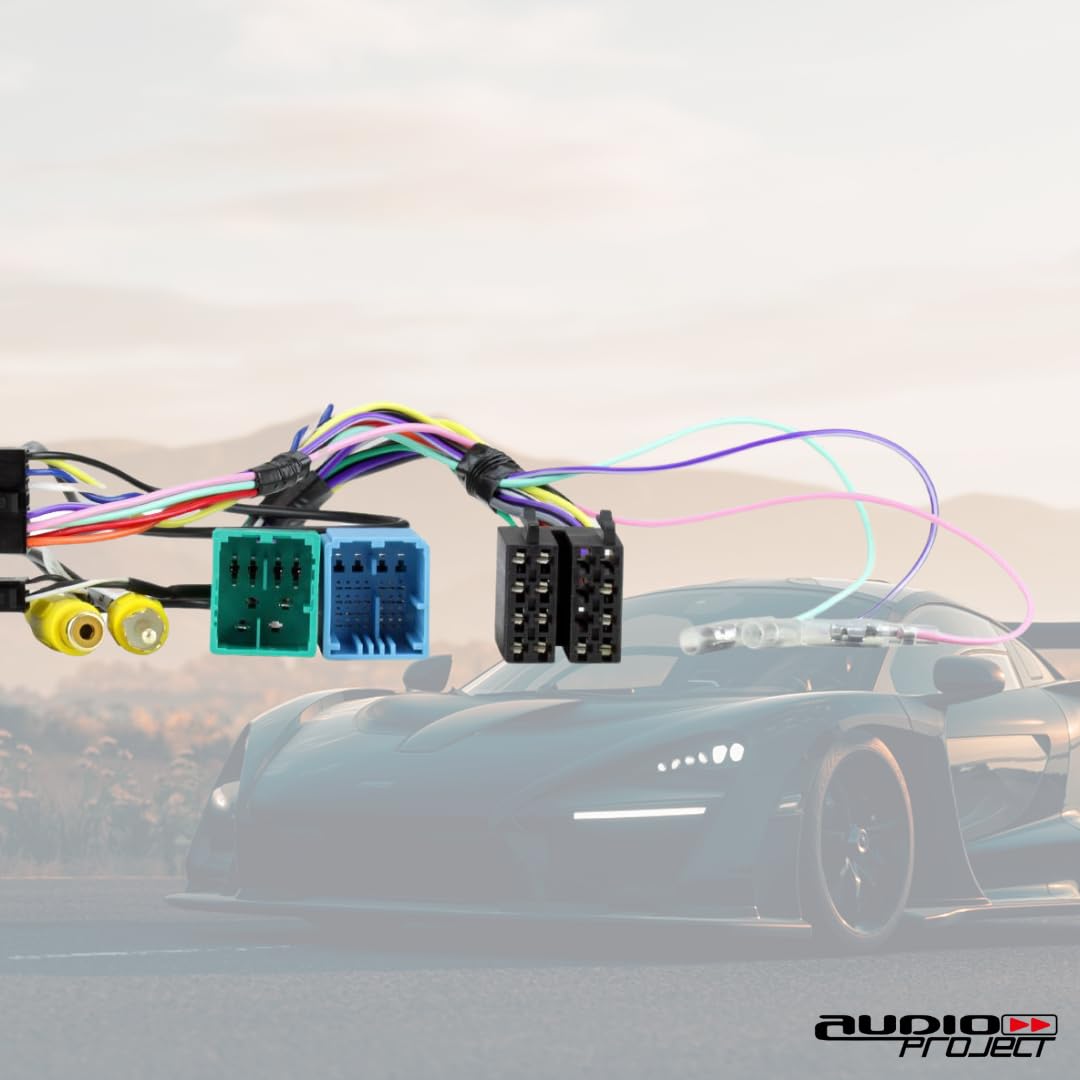 Audioproject A400.3-19 - CAN Bus Adapter + Basis Lenkradfernbedienung für FIAT Ducato 8 ab 2021 mit 5 Zoll 7 Zoll oder 10 Zoll für Autoradio Pioneer Kenwood JVC Alpine u.a.