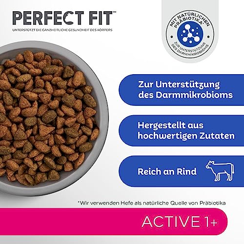 PERFECT FIT Adult Trockenfutter für erwachsene, aktive Katzen ab 1 Jahr - Rind, 750g (6 Beutel)