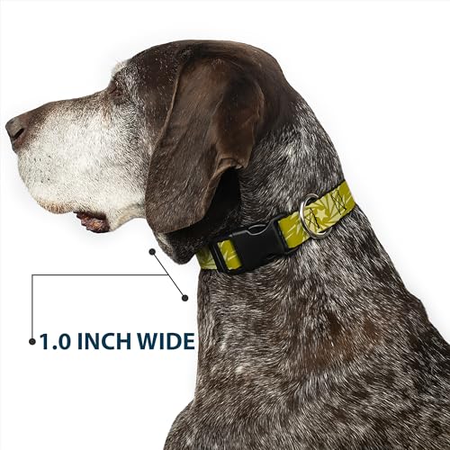 Collier chien Buckle Down réglable résout problème de taille 13-45 cm olive beige - 7