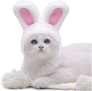 Amazon Fr Deguisement Lapin Animalerie