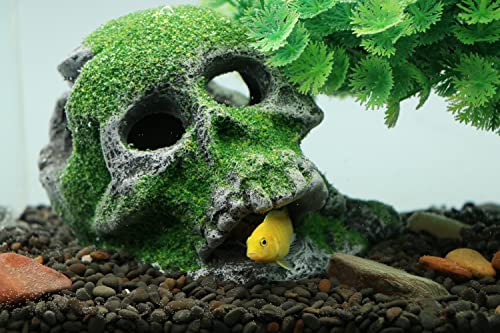 Image of AQUA KT Aquarium Landscape Head Skeleton Skull Rock Fish Hiding Place Cichlid Cave for Gold Betta Fish Tank Decoration Freshwater or Marine Aquariums