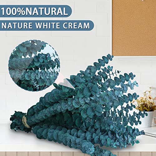 17 Pcs-Blue-Dried-Preserved-Eucalyptus-Stems, 17" Real Hanging Eucalyptus For Shower, 100% Natural Live Eucalyptus Greenery Leaves For Vase Filler, Home Spa, Fragrance, Flower Decor #TOP3