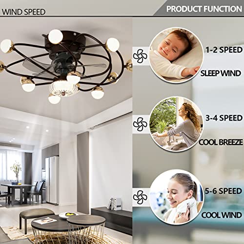 Ventilateurs de plafond DC avec application lumineuses et modes hiver