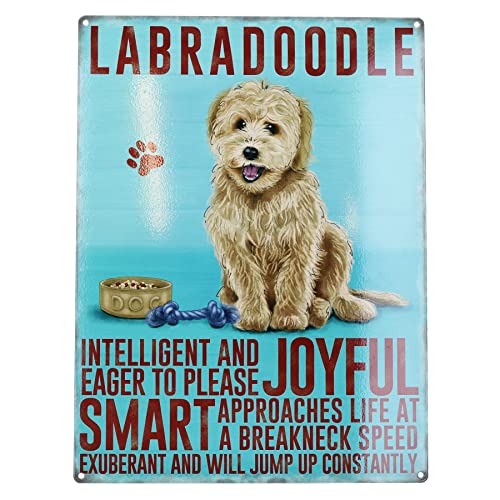 Plaque murale labradoodle en métal durable pour maison - 2