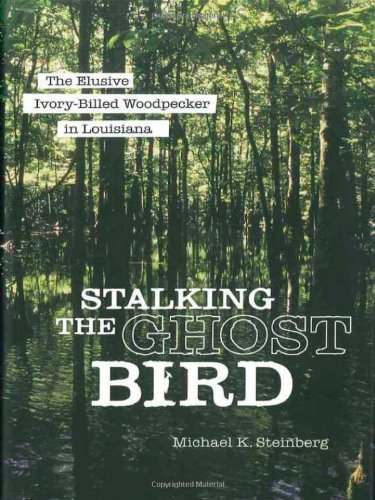 Stalking the Ghost Bird: The Elusive Ivory-Billed Woodpecker in Louisiana