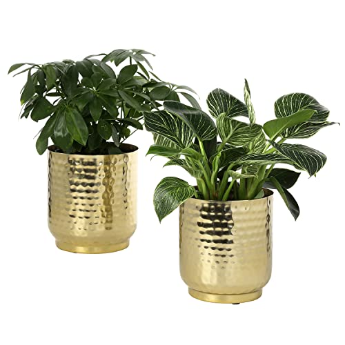Mygift DECO3096BAS Vintage Hammered Brass-Tone Metal Planter Pot Indoor Plant Container thumb #3