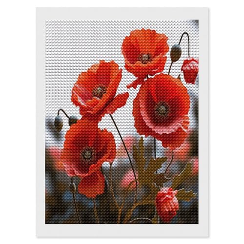 Kit broderie diamant coquelicot VstaDank pour réduire le stress par l'art floral