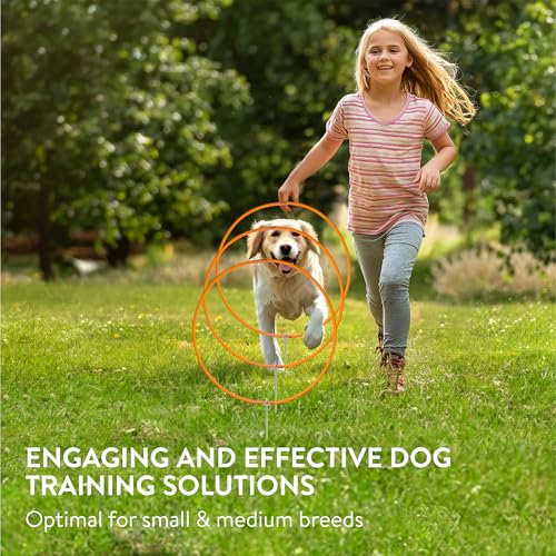Navaris 3X Ring Agility Set Hunde klein und mittelgroß - 3er Hunde Agility Set - 3 Ringe für Hundesport Hundeparcour - Hunde Training Zubehör - Agility Hund Ringe - Orange