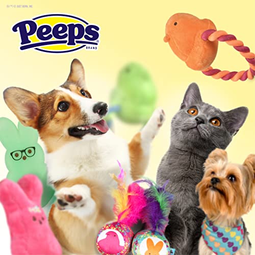 Peeps For Pets 4" Pattern Plush Bunny Squeaker Toy For Dogs In Assorted Colors | Small Peeps Bunny Plush For Dog Easter Baskets With Squeaker In | Dog Squeaky Plush Bunny Toy (Ff20037) #TOP5