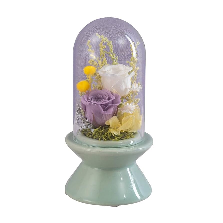 Amazon｜【公式日比谷花壇】プリザーブドフラワー「ガラスドーム