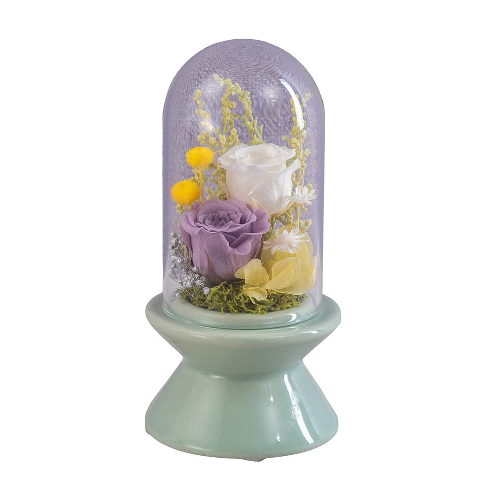 Amazon｜【公式日比谷花壇】プリザーブドフラワー「ガラスドーム