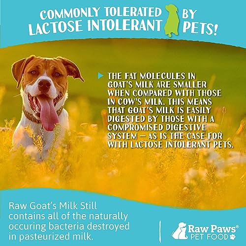 Raw Paws Raw Unpasteurized Goat Milk for Dogs & Cats, 16-oz, 14 Pack – Pet Milk Replacer for Puppies & Kittens, Goats Milk Supplement for Dogs, Sensitive Stomach Dog Food Topper, Frozen Raw Goat Milk Raw Paws Raw Unpasteurized Goat Milk for Dogs & Cats, 16-oz, 14 Pack – Pet Milk Replacer for Puppies & Kittens, Goats Milk Supplement for Dogs, Sensitive Stomach Dog Food Topper, Frozen Raw Goat Milk