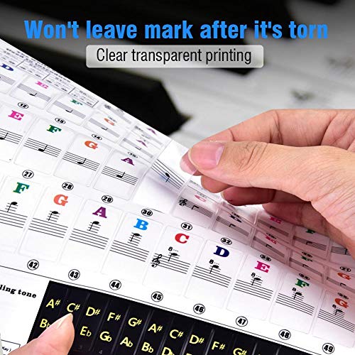 Transparent Piano Stickers For Keys,[2 Pack] Dopoo Removable Piano Keyboard Letters Key Labels (For 37/49/54/61/88 Keys) No Trace After Sticking, Great For Piano Beginners-One Colorful And One Black #TOP3