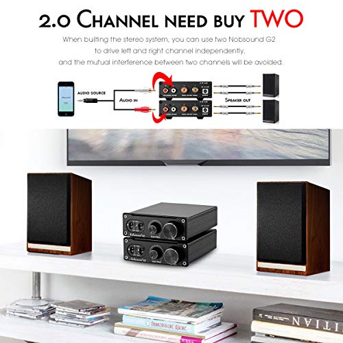 Image of Douk Audio Nobsound G2 100W Subwoofer ampere and Mono Channel Power Amplifier PBTL /BTL Bridge