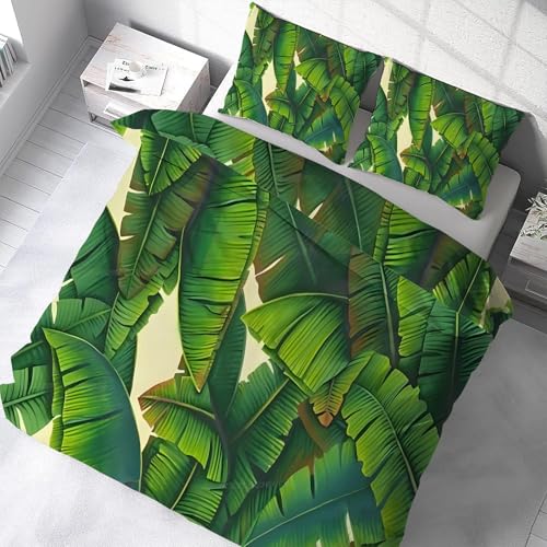 zcJo[ VO 3_Z MѐA QJo[ZbgzcJo[|GXe100 DG _炩ʋC^Cvh_jlGʗp(150x210cm)2Jo[(43x63cm)