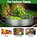 OUSHENG 4x4x1ft Round Galvanized Raised Garden Beds Outdoor, Steel Fire Pit Ring Flower Planter Large Metal Above Ground Boxes Kit for Gardening Vegetables Outside