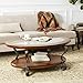 Signature Design by Ashley Nestor Traditional Oval Coffee Table with Beveled Glass Top, Scrollwork Underlay and 1 Fixed Shelf, Dark Brown