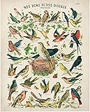 Garantie de remboursement : nous sommes si confiants dans nos produits que si vous n'êtes pas satisfait, renvoyez-les pour un prix complet.