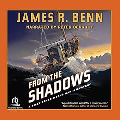 Couverture de From the Shadows