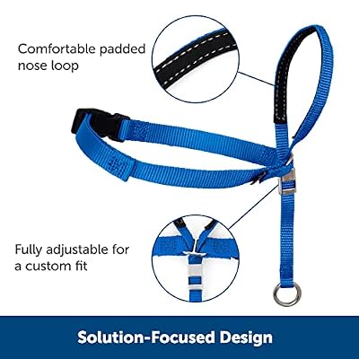 PetSafe Gentle Leader Headcollar, No-Pull Dog Collar, Raspberry Pink & Nylon Dog Leash - Strong, Durable, Traditional Style Leash with Easy to Use Bolt Snap - 3/4 x 6', Raspberry Pink