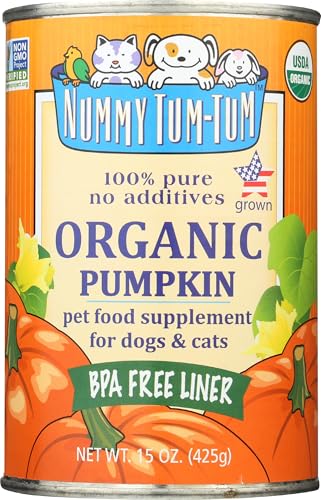 Nummy Tum Tum Organic Pumpkin