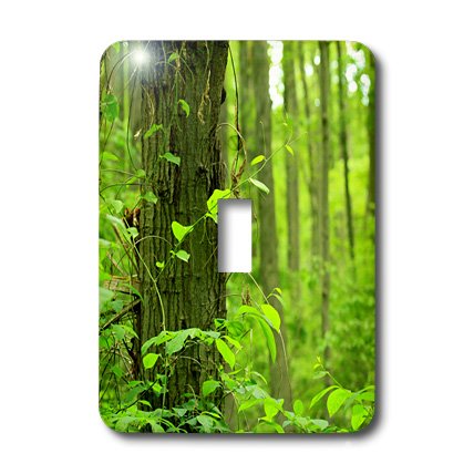 Interrupteur à baïonnette trees green forest leaves multicolore pour déco murale