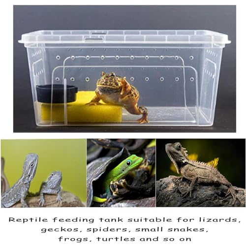 Cage d'élevage pour reptiles portable idéale pour les déplacements