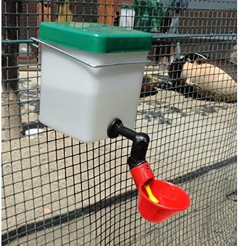 agrarking.de Basin Drinker 1 Litre for Chickens and Chicks