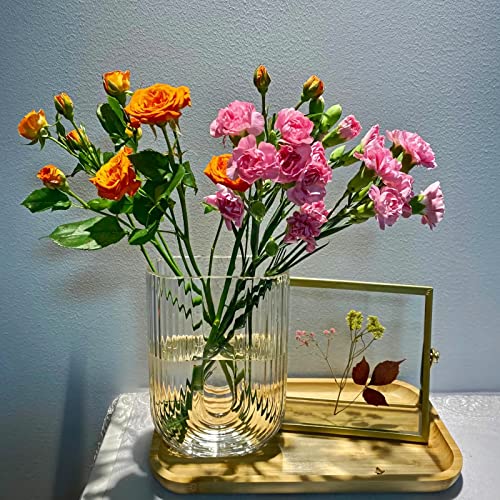 Clear Ribbed Glass Flower Vase, 7" H Modern Small Vase, Ellipse U Shaped Fluted Striped Decorative Vase, Fit For Home Living Room Table Decor (Open:5.11" X 2.36") #TOP5