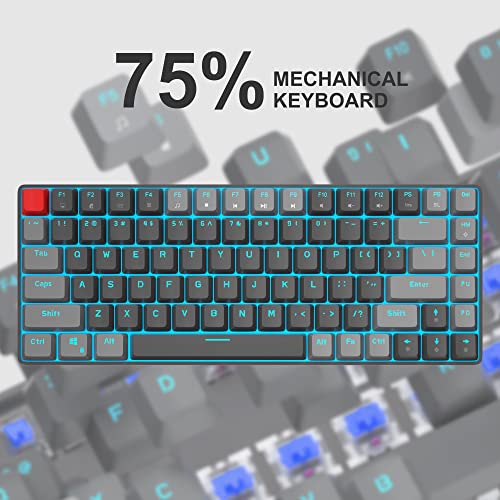 Magegee 75% Mechanical Keyboard, Wired Gaming Keyboard With Blue Switches And Ice Blue Backlit Small Compact 75 Percent Keyboard Mechanical, Portable Gaming Keyboard Gamer For Pc, Mac(Grey Black) #TOP2