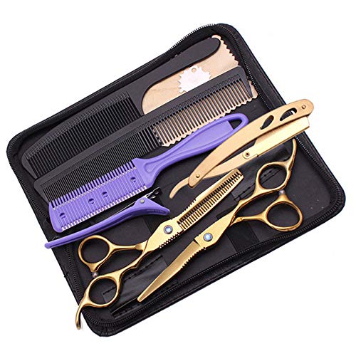 Ciseaux de coiffure 6 pouces 4Cr L73543 pour salon