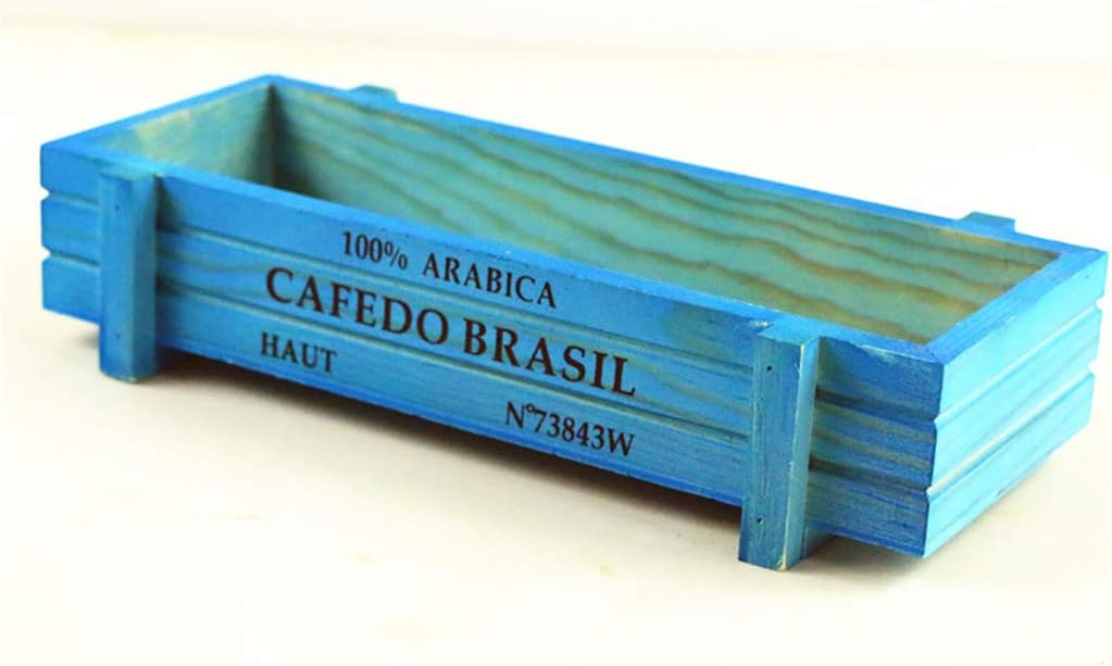 vaso per succulente con drenaggio 10 pollici